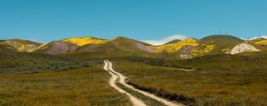 Preview wallpaper field, hills, path, landscape, nature