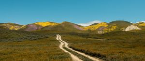 Preview wallpaper field, hills, path, landscape, nature