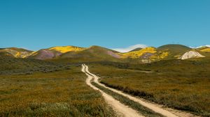 Preview wallpaper field, hills, path, landscape, nature