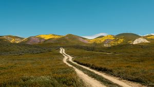 Preview wallpaper field, hills, path, landscape, nature