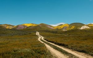Preview wallpaper field, hills, path, landscape, nature