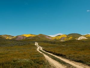 Preview wallpaper field, hills, path, landscape, nature