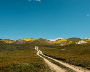 Preview wallpaper field, hills, path, landscape, nature
