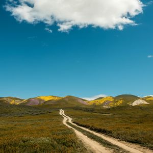 Preview wallpaper field, hills, path, landscape, nature