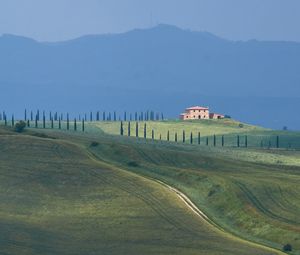 Preview wallpaper field, hills, relief, landscape