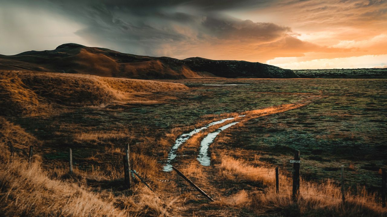 Wallpaper field, hills, road, nature