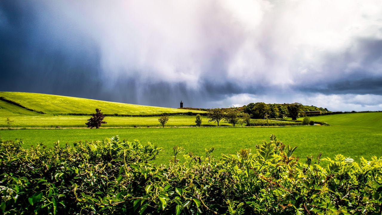 Wallpaper field, hills, trees, landscape, bright