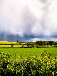 Preview wallpaper field, hills, trees, landscape, bright