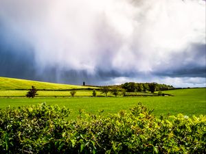 Preview wallpaper field, hills, trees, landscape, bright