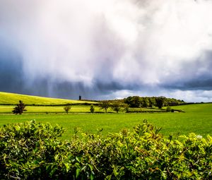 Preview wallpaper field, hills, trees, landscape, bright