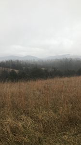 Preview wallpaper field, hills, trees, fog, landscape