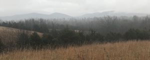 Preview wallpaper field, hills, trees, fog, landscape