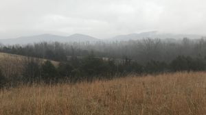Preview wallpaper field, hills, trees, fog, landscape