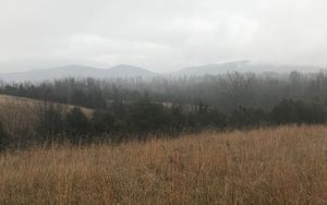 Preview wallpaper field, hills, trees, fog, landscape