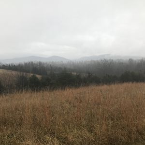 Preview wallpaper field, hills, trees, fog, landscape