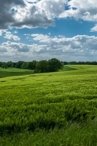 Preview wallpaper field, hills, trees, landscape, nature, green