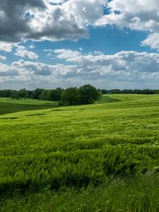 Preview wallpaper field, hills, trees, landscape, nature, green