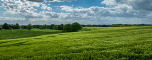 Preview wallpaper field, hills, trees, landscape, nature, green