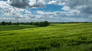 Preview wallpaper field, hills, trees, landscape, nature, green