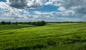 Preview wallpaper field, hills, trees, landscape, nature, green