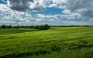 Preview wallpaper field, hills, trees, landscape, nature, green