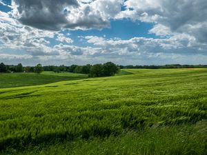 Preview wallpaper field, hills, trees, landscape, nature, green