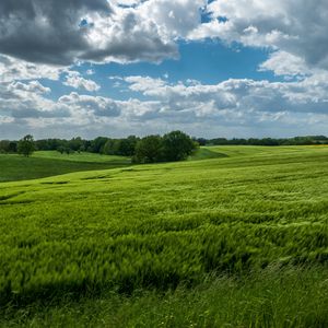 Preview wallpaper field, hills, trees, landscape, nature, green