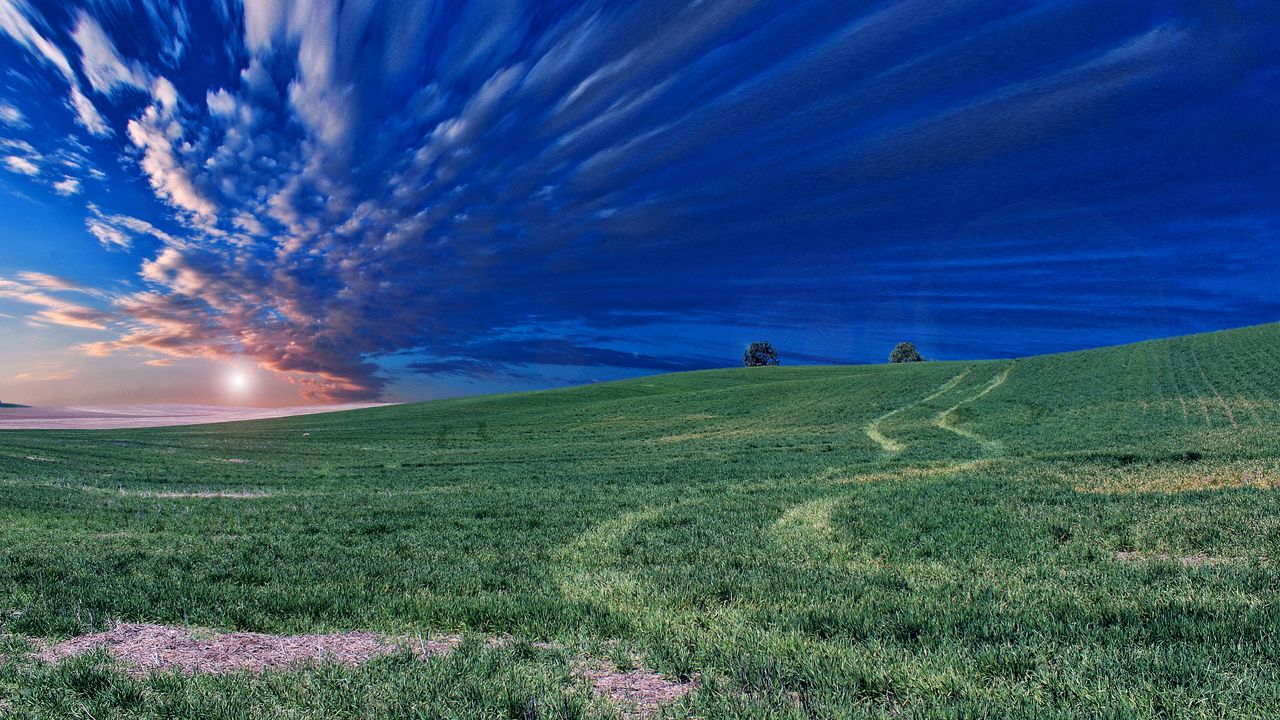 Wallpaper field, horizon, sky, evening, grass