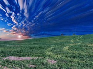 Preview wallpaper field, horizon, sky, evening, grass