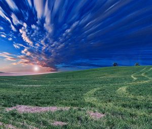 Preview wallpaper field, horizon, sky, evening, grass