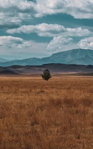 Preview wallpaper field, horizon, tree, lonely, clouds