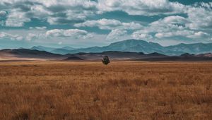 Preview wallpaper field, horizon, tree, lonely, clouds