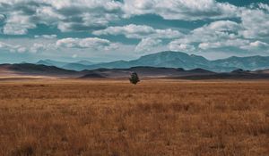 Preview wallpaper field, horizon, tree, lonely, clouds