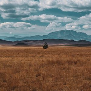 Preview wallpaper field, horizon, tree, lonely, clouds