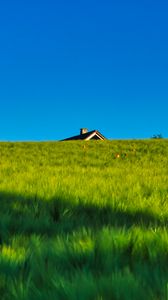 Preview wallpaper field, house, nature, summer