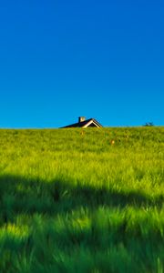 Preview wallpaper field, house, nature, summer