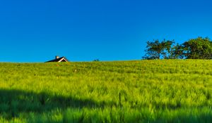 Preview wallpaper field, house, nature, summer