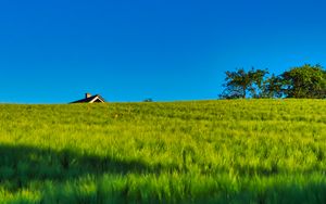 Preview wallpaper field, house, nature, summer