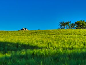 Preview wallpaper field, house, nature, summer