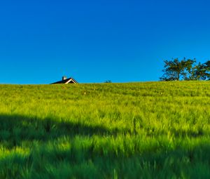 Preview wallpaper field, house, nature, summer