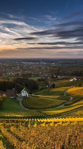 Preview wallpaper field, houses, trees, landscape