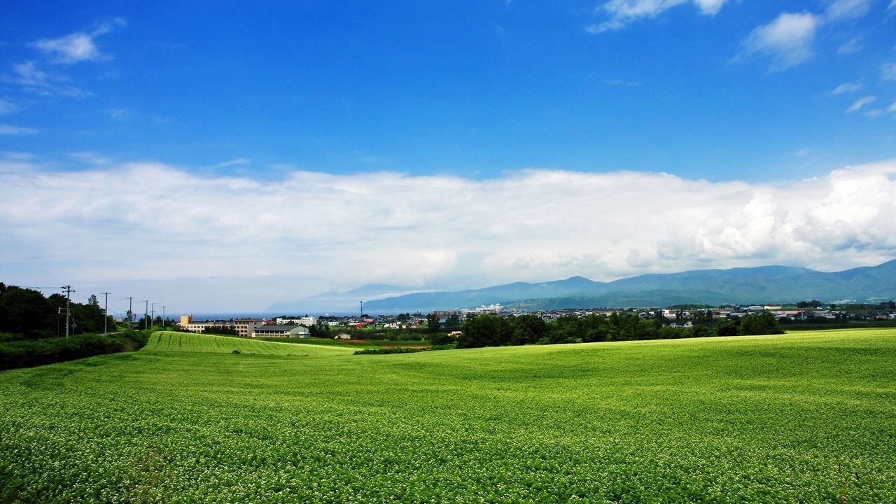 Wallpaper field, japan, plantation, summer, village