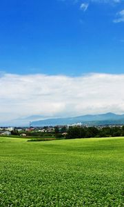 Preview wallpaper field, japan, plantation, summer, village