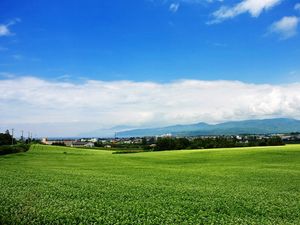 Preview wallpaper field, japan, plantation, summer, village