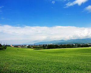 Preview wallpaper field, japan, plantation, summer, village