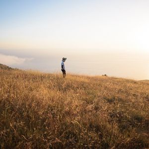 Preview wallpaper field, loneliness, solitude, grass, big sur