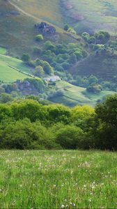 Preview wallpaper field, meadow, grass, trees