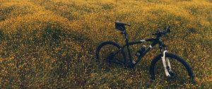 Preview wallpaper field, meadow, grass, bicycle, flowers