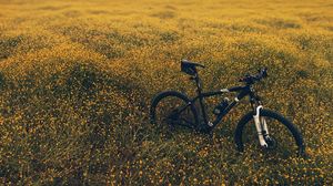 Preview wallpaper field, meadow, grass, bicycle, flowers