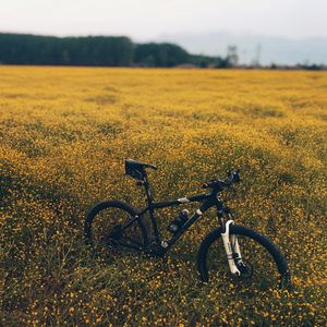 Preview wallpaper field, meadow, grass, bicycle, flowers